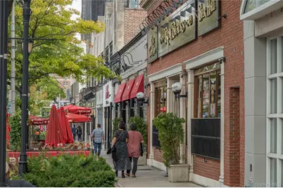 2 Overlook Road #1A1A, White Plains, NY 10605 - Photo 27