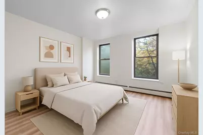 369 Marion Street #2B, Brooklyn, NY 11233 - Photo 3