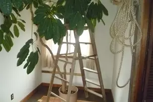 624 Huckleberry Turnpike, Marlboro, NY 12542 - Photo 15