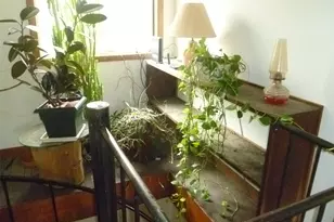 624 Huckleberry Turnpike, Marlboro, NY 12542 - Photo 21