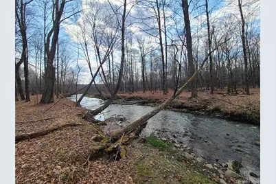 *00 Rt. 52 and Mineral Springs Road, White Sulphur Springs, NY 12787 - Photo 13