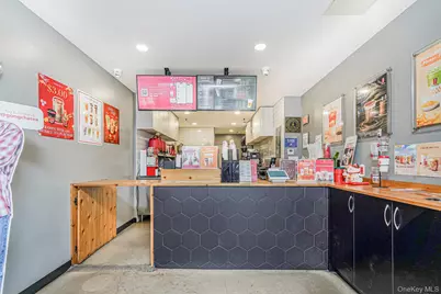 313 9th Street, Brooklyn, NY 11215 - Photo 3