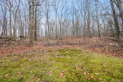 272 Van Wyck Lake Road, Fishkill, NY 12524 - Photo 21