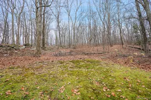 272 Van Wyck Lake Rd, Fishkill, NY 12524 - Photo 21