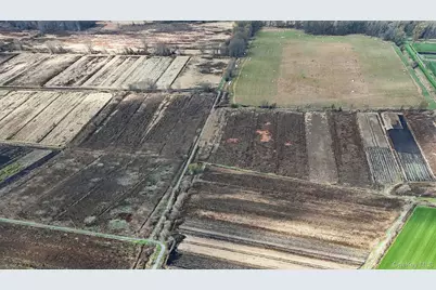 60 Bierstine Lane, Pine Island, NY 10969 - Photo 11