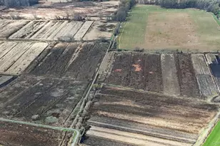 60 Bierstine Ln, Pine Island, NY 10969 - Photo 11