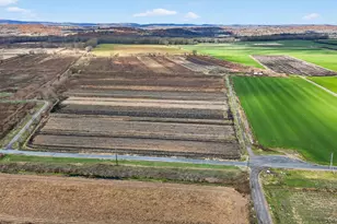 60 Bierstine Ln, Pine Island, NY 10969 - Photo 13