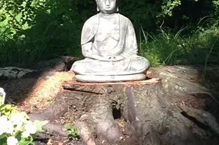 56 Belleau Ave, New Rochelle, NY 10804 - Photo 35