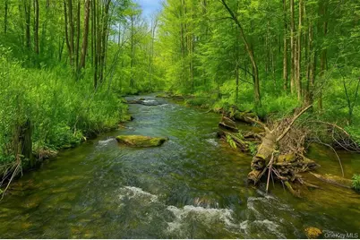 0 Mill Road, Millerton, NY 12546 - Photo 13