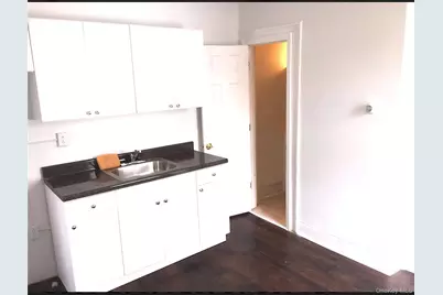 1339 E 91st Street #Back, Brooklyn, NY 11236 - Photo 3