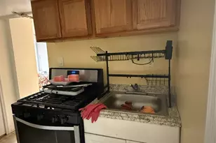 56 Seville St, Elmont, NY 11003 - Photo 19