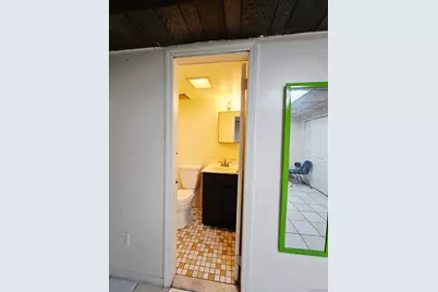 9203 Schenck Street, Brooklyn, NY 11236 - Photo 25