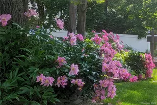 8 Margaret Ave, Nesconset, NY 11767 - Photo 41