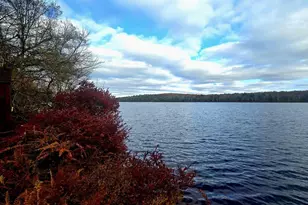 14 Lena Rd, Monticello, NY 12777 - Photo 9