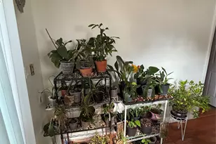 188-31 Jordan Ave, Saint Albans, NY 11412 - Photo 15