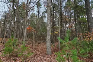 191 Eldred-Yulan Rd, Yulan, NY 12732 - Photo 27