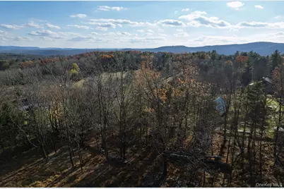 15 Deans Road, Grahamsville, NY 12458 - Photo 17