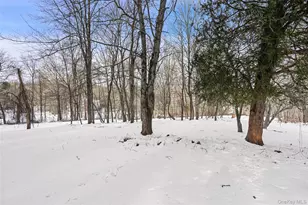 22 Raspberry Ln, Carmel, NY 10512 - Photo 21