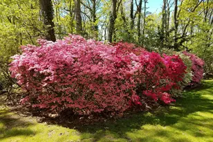 8 Old Wood Rd, Stony Brook, NY 11790 - Photo 47