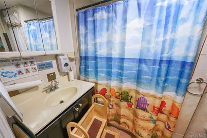 852 Blake Avenue, Brooklyn, NY 11207 - Photo 15