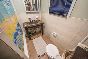 852 Blake Ave, Brooklyn, NY 11207 - Photo 27