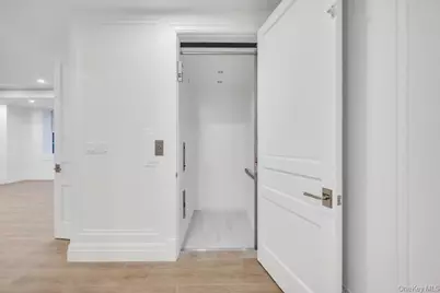 207 Mill Spring Road, Manhasset, NY 11030 - Photo 41