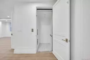 207 Mill Spring Rd, Manhasset, NY 11030 - Photo 41