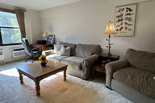 139-15 83 Ave, Briarwood, NY 11435 - Photo 27