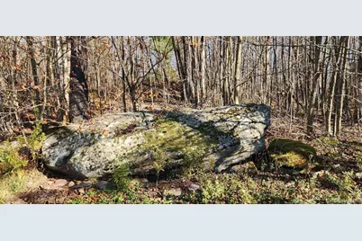 371 Kelly Bridge Road #365, Swan Lake, NY 12783 - Photo 19