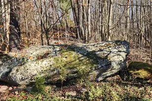 371 Kelly Bridge Rd, Swan Lake, NY 12783 - Photo 19