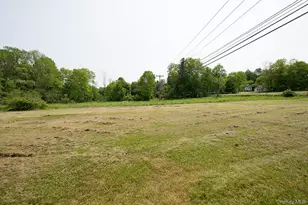 1132 Old Rte 17, Ferndale, NY 12734 - Photo 27