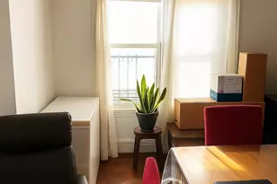 14 Van Siclen Ct, Brooklyn, NY 11207 - Photo 9