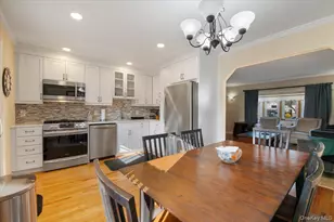 132 E Cherry St, Floral Park, NY 11001 - Photo 11