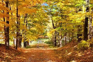 948 Craigville Rd, Chester, NY 10918 - Photo 39