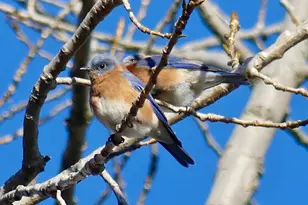 904 Dean Ave, Bronx, NY 10465 - Photo 3