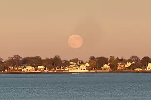 904 Dean Ave, Bronx, NY 10465 - Photo 17