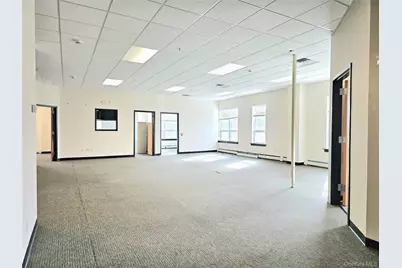 7 Sutton Place #Lower Level Back, Brewster, NY 10509 - Photo 5