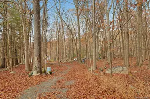 3 Grey Beech Ln, Pomona, NY 10970 - Photo 9