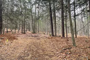 5769 State Route 97, Narrowsburg, NY 12764 - Photo 27