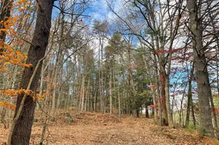 5769 State Route 97, Narrowsburg, NY 12764 - Photo 39