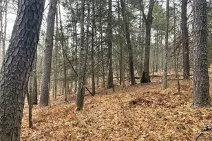 5769 State Route 97, Narrowsburg, NY 12764 - Photo 29