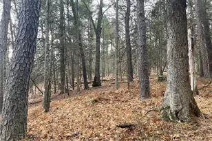 5769 State Route 97, Narrowsburg, NY 12764 - Photo 23