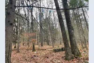 5769 State Route 97, Narrowsburg, NY 12764 - Photo 31