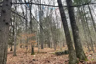 5769 State Route 97, Narrowsburg, NY 12764 - Photo 31