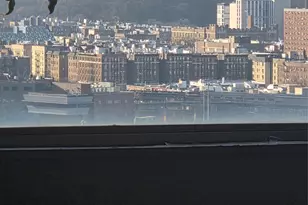 4 Fordham Hill Oval, Bronx, NY 10468 - Photo 9