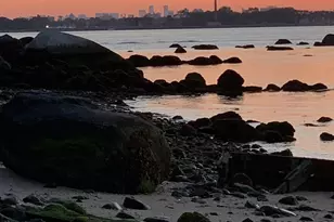 69 Cornwells Beach Rd, Sands Point, NY 11050 - Photo 25