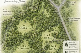 Lot 3 62 Camp Monroe Rd, Monroe, NY 10950 - Photo 39