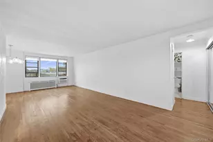 5 Birchwood Ct, Mineola, NY 11501 - Photo 13