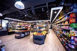 12 E Dillon Rd, Monticello, NY 12701 - Photo 41