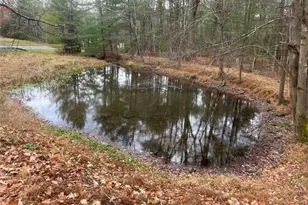 65 Eldred-Yulan Rd, Eldred, NY 12732 - Photo 3